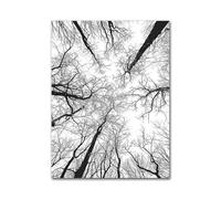 MINGYTN Casa Poster Decorativo Quadro Astratto Su Tela Con Piume, Foglie, Tarassaco, Fiori, Poster E Stampe D'arte Moderna In Bianco E Nero, Immagini Per L'arredamento Della Casa(E,40x60cm)
