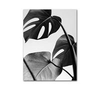 MINGYTN Casa Poster Decorativo Quadro Astratto Su Tela Con Piume, Foglie, Tarassaco, Fiori, Poster E Stampe D'arte Moderna In Bianco E Nero, Immagini Per L'arredamento Della Casa(I,20x30cm)