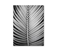 MINGYTN Casa Poster Decorativo Quadro Astratto Su Tela Con Piume, Foglie, Tarassaco, Fiori, Poster E Stampe D'arte Moderna In Bianco E Nero, Immagini Per L'arredamento Della Casa(J,30x40cm)