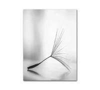 MINGYTN Casa Poster Decorativo Quadro Astratto Su Tela Con Piume, Foglie, Tarassaco, Fiori, Poster E Stampe D'arte Moderna In Bianco E Nero, Immagini Per L'arredamento Della Casa(UN,20x30cm)