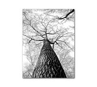 MINGYTN Casa Poster Decorativo Quadro Astratto Su Tela Con Piume, Foglie, Tarassaco, Fiori, Poster E Stampe D'arte Moderna In Bianco E Nero, Immagini Per L'arredamento Della Casa(C,30x40cm)