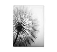 MINGYTN Casa Poster Decorativo Quadro Astratto Su Tela Con Piume, Foglie, Tarassaco, Fiori, Poster E Stampe D'arte Moderna In Bianco E Nero, Immagini Per L'arredamento Della Casa(B,30x40cm)