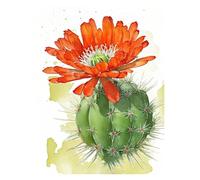 MINGYTN Casa Poster Decorativo Stampa Su Tela Con Poster Di Cactus, Decorazione Popolare Alla Moda Per La Stanza Di Casa, Villa, Estetica, Decorazione Naturale Su Tela Da Parete(J,50x70cm)