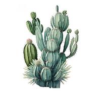 MINGYTN Casa Poster Decorativo Stampa Su Tela Con Poster Di Cactus, Decorazione Popolare Alla Moda Per La Stanza Di Casa, Villa, Estetica, Decorazione Naturale Su Tela Da Parete(C,40X50cm)