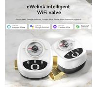 Mingzhe EWeLink WiFi Valvola Dell'acqua Interruttore Automatico Valvola a Sfera Intelligente IP65 Controllo Remoto Wireless APP Compatibile con Assistente e Saluto per il Controllo (DN25)