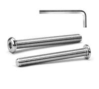 MINHER M6 x 65mm 10Pcs Testa Piatta Esagono Incassato Viti Bulloni, Bulloni Per Mobili, Acciaio Inossidabile A2 V2A, Filettatura Completa (con Chiavi a Brugola)