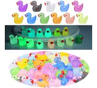 Mini Anatre in Resina 50 Pezzi Glow Little Ducks Mini Anatre Si Illuminano al Buio per Giardino Casa delle Bambole Decorazione Anatra Fai da Te Acquario Decorazione per Feste (12 Colori)