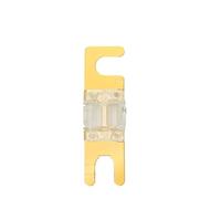 Mini ANL Auto Fuse Electric AFS 30A 40A 50A 60A 70A 80A 100A 125A 150A 5V 12V 24V 32V Fast Blow Blo Cutoff Car Fusee (70A)
