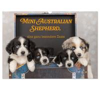 Mini Australian Shepherd, eine ganz besondere Rasse (Wandkalender 2027 DIN A3 qu