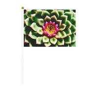 Mini bandiera bianca con fiore di cactus che sboccia con asta solida, colori vivaci e resistenti allo sbiadimento, bandiere tenute in mano con lancia
