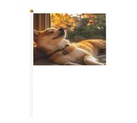 Mini bandiere con il cucciolo nel sogno, resistenti, 14 x 20 cm, piccole bandiere su bastoncini per esterni, cortile e giardino, confezione da 6 e 10 pezzi