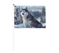 Mini bandiere per cani Husky vibranti su bastone, 14 x 20,8 cm, piccole bandiere USA per esterni, decorazioni per il 4 luglio, decorazione patriottica, asta per bandiera portatile, bandiere palmari