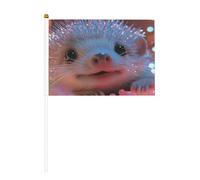 Mini bandierine a forma di riccio, resistenti, 14 x 20 cm, piccole bandiere su bastoncini, per esterni, cortile e giardino, confezione da 6 e 10 pezzi