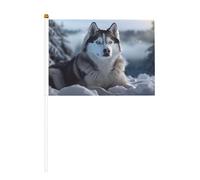 Mini bellissime bandiere Husky su bastone - 14 x 20,8 cm piccole bandiere USA per esterni, decorazioni 4 luglio, decorazione patriottica, asta per bandiera portatile, bandiere palmari, dieci pezzi