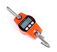 Mini Bilancia Da Gru Digitale LCD 300 Kg, Peso Elettronico Industriale Portatile, Gancio Sospeso Per Cucina, Uso Commerciale