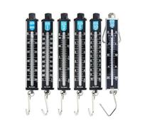 Mini bilancia portatile, bilancia portatile express, bilancia a molla, dinamometro(1kg-74452)