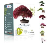 Mini Bonsai Ready to Grow Kit Giardino e decorazione Idea regalo (Mela rossa
