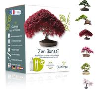 Mini - Bonsai Ready-To-Grow Kit - Semi Francesi 100% Ecologici - Giardino E Deco