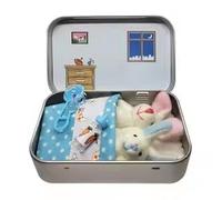 Mini Bunny Hug Simpatico regalo di Pasqua, dolce regalo di Pasqua per bambini, coniglietto in una scatola abbraccia coniglietto positivo in una scatola, borsa morbida, supporto emotivo, abbraccia
