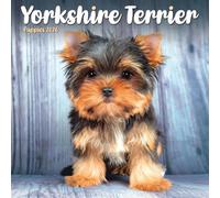 Mini calendario 2026 con cuccioli di Yorkshire Terrier