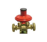 MINI CENTRALINA CON REGOLATORE 2205 SENZA MANICHETTE Kg/h 10 Centraline Gas