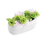 Mini Ceramic Potted Plant Model, Decorative Ornament, Realistic Vivid Design, Lightweight Material Accessory, Ideal for Children Boys Girls Kids, Home Playroom Decoration Collectible