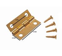 Mini Cerniere Per Scatole Di Gioielli + Spilli Ottone 25Mm (4 Paia)