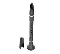 Mini clarinetto piatto B con borsa per il trasporto, portatile, per principianti, strumento a fiato per studenti di livello base, ottima qualità del suono e facile da trasportare