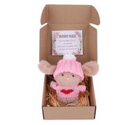 Mini Coniglietto Pasquale In Una Scatola, Tenero Giocattolo Piccolo Con Coniglio Pocket, Pupazzo Di Coniglio Con Messaggio Ispiratore Per Supporto Emotivo, Rilassamento D'ansia Per Bambini E Adulti