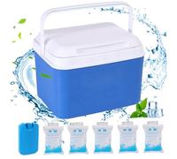 Mini Cooler, 5qt Insulated Small Hard Cooler, Portable Small Ice Chest with Handles, Mini Lunch Box for Beach Picnic Camping, Blue