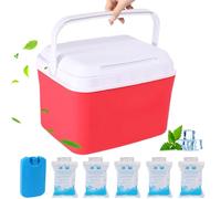 Mini Cooler, 5qt Insulated Small Hard Cooler, Portable Small Ice Chest with Handles, Mini Lunch Box for Beach Picnic Camping, Red