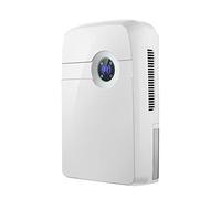 Mini Deumidificatore, 42W Modern, Household Deumidificatore, Deumidificatore D'aria, Utilizzato in Camere Da Letto, Bagni, Altri Luoghi Dove L'aria è Umida