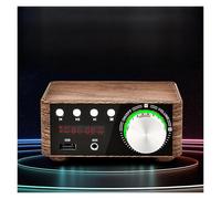 Mini Digital HiFi Bluetooth 5.0 Power Class D Amplificatore AUDIO AMP 50W * 2 Home Theater Car Marine USB TF- Carta(Not Amp)