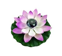 Mini fontana solare piscina stagno cascata fontana solare decorazione da giardino bagno for uccelli all'aperto fontana ad energia solare acqua galleggiante Applicazioni Multiple(Purple No Fountain)
