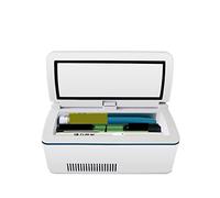 Mini frigoriferi Frigorifero portatile for insulina Diabetici Frigorifero for insulina Dispositivo di raffreddamento del frigorifero Frigorifero da viaggio Congelatore Per auto, viaggi(24 hrs,CN)