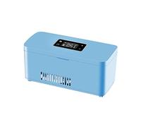 Mini frigoriferi Scatola refrigerata for insulina ricaricabile Mini frigorifero Custodia for il trasporto Termostato Ormone della crescita Farmaco Frigorifero da 2-8 gradi Per auto, viaggi(Large Blue+