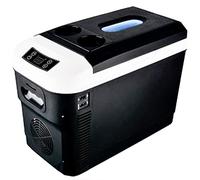 Mini frigorifero 12/24 V, mini frigorifero montato su veicolo, piccolo dormitorio per studenti, auto a noleggio, casa, frigorifero portatile a doppio uso per insulina, 15 l