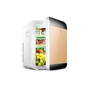 Mini Frigorifero 25L Frigorifero Portatile 2 in 1, con Funzione di Raffreddamento e Riscaldamento, Dispositivo di Raffreddamento e Riscaldamento termoelettrico Portatile, utilizzat