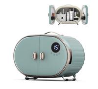 Mini Frigorifero Di Bellezza Con Schermo Touch Screen Frigorifero Portatile Per La Cura Della Pelle Regolazione Della Temperatura 10-16℃ Camera Da Letto Cooler & Storage, 10L