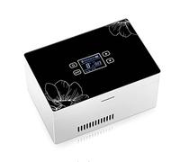 Mini frigorifero per medicinali e refrigeratore per insulina - Custodia refrigerata portatile per viaggi, casa e auto/piccola scatola da viaggio per medicinali, batteria singola