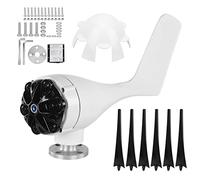 Mini generatore eolico 6 pale 200 W Alimentatori Alternatore trifase Generatore eolico portatile ad alta efficienza per campeggio all'aperto Uso domestico Lega di plastica Blu (48V)