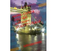 MINI-GUIDA USO del software STRUTTURALE: per giovani liberi professionisti aspiranti ingegneri strutturisti