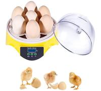 Mini incubatrice per uova, piccola schiusa digitale per 7 uova con display a LED per il controllo della temperatura e dell'acqua, schiusa di pollame, per pollo uccello quaglia anatra