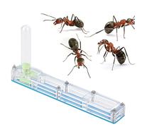 Mini insetti trasparenti acrilici Nest, Formicarium Display Ornamental Basches con torre d'acqua, esperimento agricolo Osservazione dell'area di alimentazione di piccole colonie, (Nido blu)