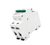 mini interruttori, Interruttore automatico in miniatura CC con scatola stampata a 2 poli 1000 V CC/220 V Interruttore differenziale solare(20a)