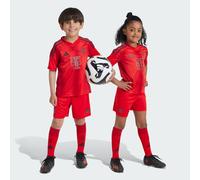 Mini Kit FC Bayern Casa 24/25 Red 2-3A