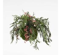 Mini Kokedama Stabilizzata Made in Italy - Sfera di Muschio Naturale Ø 10-15 cm, Pianta Vera Decorativa Senza Cura in Verde Stabilizzato - Ideale come Arredo e Regalo per la Casa (Falso Pepe)