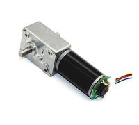 Mini motore elettrico tubolare DC con encoder, riduttore a vite senza fine ad angolo retto a basso rumore, motoriduttore a doppio asse 12V/24V(Motorand bracket,27R,24V)