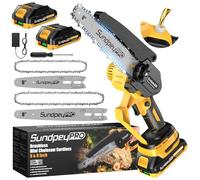 Mini Motosega a Batteria 8/6 Pollici - Brushless Mini Sega a Batteria da 2 * 2.0Ah per Potatura, Lubrificazione, Tensione Catena Senza Attrezzi, 900W, Motosega Elettrica per Taglio di Legno