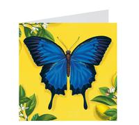 Mini Notecards Wallet Vuote Con Buste Set Di 8 - Scegli Design